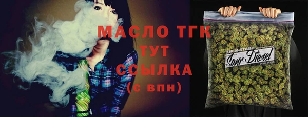 индика Белокуриха