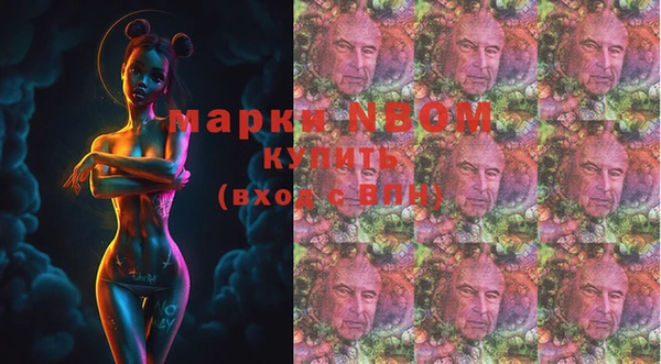 дживик Семилуки