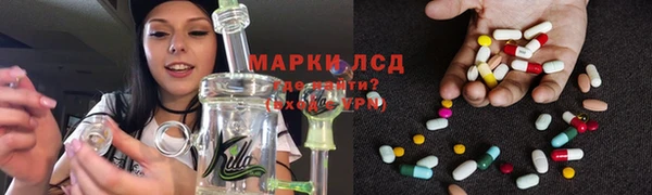 индика Белокуриха