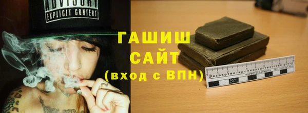 индика Белокуриха