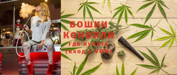 индика Белокуриха