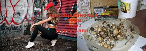ALPHA PVP Семикаракорск